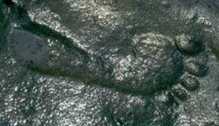 Dấu chân bí ẩn tại New Mexico