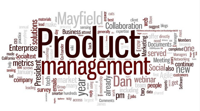 Product Manager/Owner (Quản lý/ Người "sở hữu" sản phẩm)