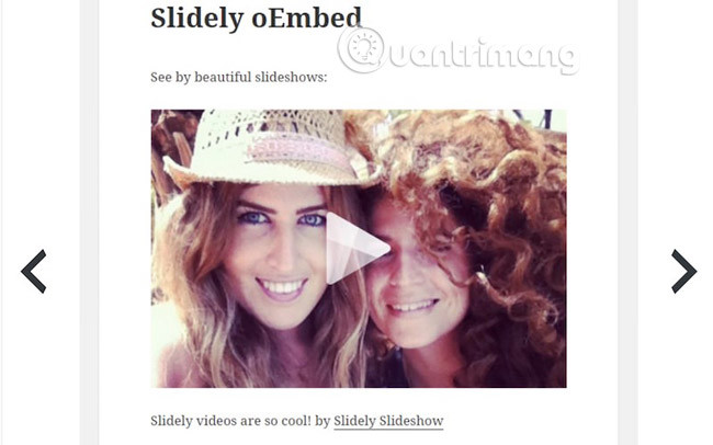 Slidely Slideshows Embed